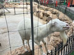 -神户市立六甲山牧场