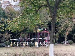 -鸡鸣汤包(红山动物园店)