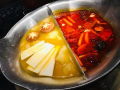 台式麻辣花胶鸡鸳鸯锅-湊湊火锅·茶憩(世博大道店)