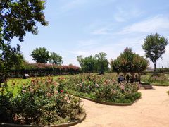 -武汉紫薇都市田园