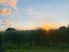 -梁鸿国家湿地公园