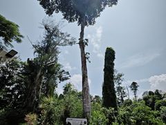 -海南热带野生动植物园