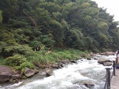 -长谷洞天