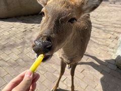 -水上乐园·欢乐世界