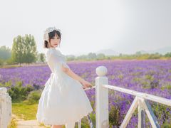 -北京东方普罗旺斯薰衣草庄园