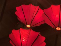 -红运火锅·中国名火锅·国风演绎(省体店)
