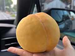 -樂桃源奉贤黄桃种植采摘基地