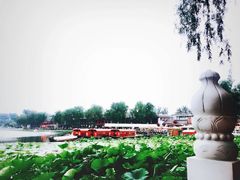 -小王府(什刹海店)