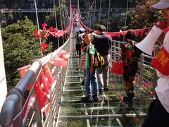 景点玻璃桥-九龙江国家森林公园