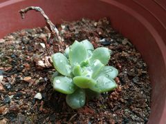 -河海大学(常州校区)