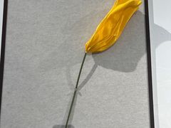 -兰境艺术中心