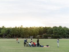 -上海海湾国家森林公园