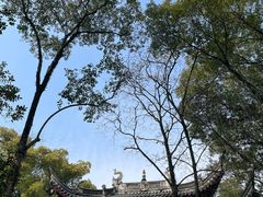 -天一阁博物院