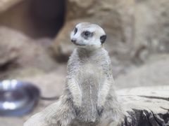 -大连圣亚海洋世界