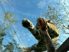 -西霞口神雕山野生动物世界