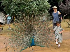 -杭州野生动物世界