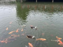 -有喜胶东小馆(太申祥和店)