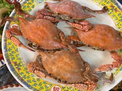 -清真老马家海鲜大排档(台东店)
