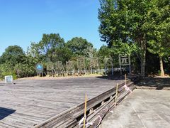 -九曲溪竹筏码头