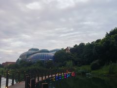 -大塘金香草谷
