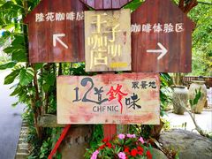 -兴隆隆苑咖啡庄园