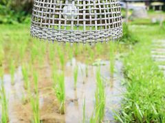 -四季酒店下午茶