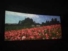 -枫花园汽车电影院(朝阳公园店)