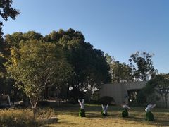 -宁波儿童公园(鄞州区)