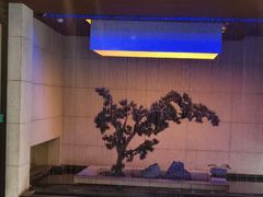 -绿杨春·淮扬宴(庐山路店)