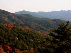 -鲁山国家森林公园