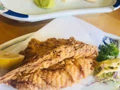 -天正河鲀·河豚亭(大连店)