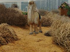 -重庆市江北嘴中央商务区中央公园