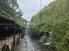 -源泉冷水鱼庄(小鱼洞店)