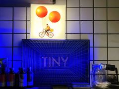 -TINY