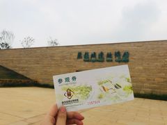 -盘龙城国家考古遗址公园