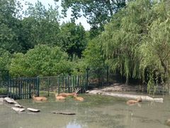 -溱湖国家湿地公园