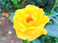 -人民公园(罗湖区)