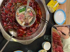 -金鼎雪山牦牛杂火锅(理县总店)