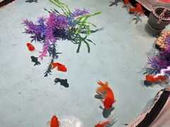 -绿色星球动物主题公园