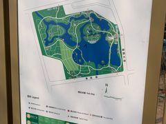 -大兴滨河森林公园