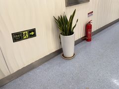 -圣贝口腔(海淀店)