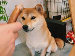 -About Bistro關於·泰式家庭料理