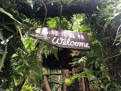 -绿光森林餐厅