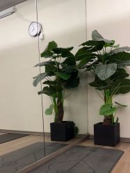 点击看大图 -花隐瑜伽·普拉提·红绳