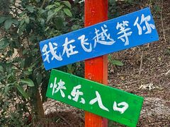 -芦仙山景区-飞越丛林探险乐园