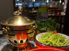 生烫鸡毛菜-卢大鲜鱼头捞饭(美利广场店)