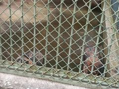 -宿豫区运河湾森林动物园