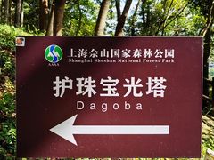 -上海佘山国家森林公园天马山园