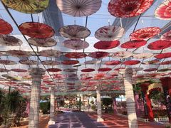 -广东花都香草世界旅游度假区