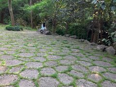 -灵隐飞来峰景区